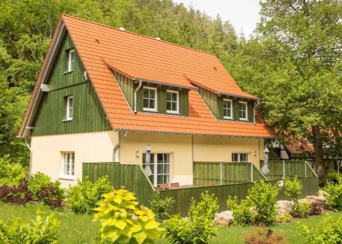Prázdninový dům Ferienhaeuser Ilsestein Doppelhaus, 100 Qm, 3 Schlafzimmer *