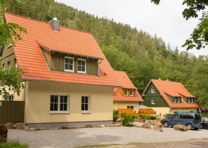 Prázdninový dům Ferienhaeuser Ilsestein Doppelhaus, 100 Qm, 3 Schlafzimmer