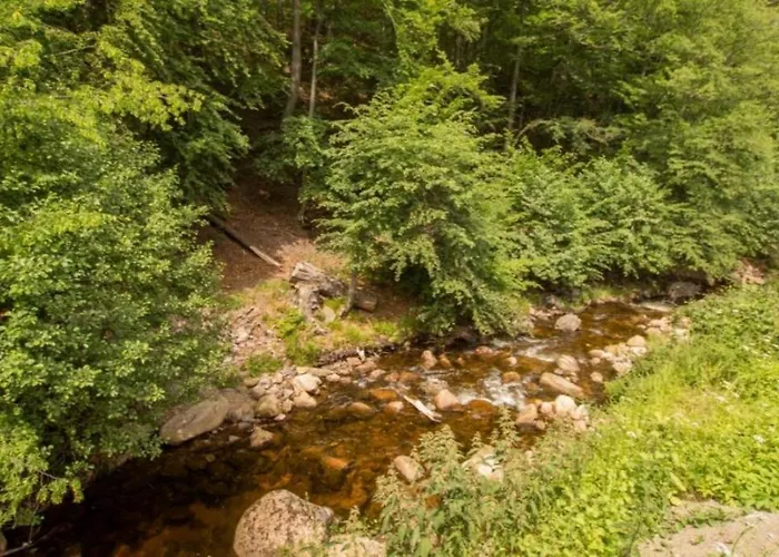 Prázdninový dům Ferienhaeuser Ilsestein Doppelhaus, 100 Qm, 3 Schlafzimmer *